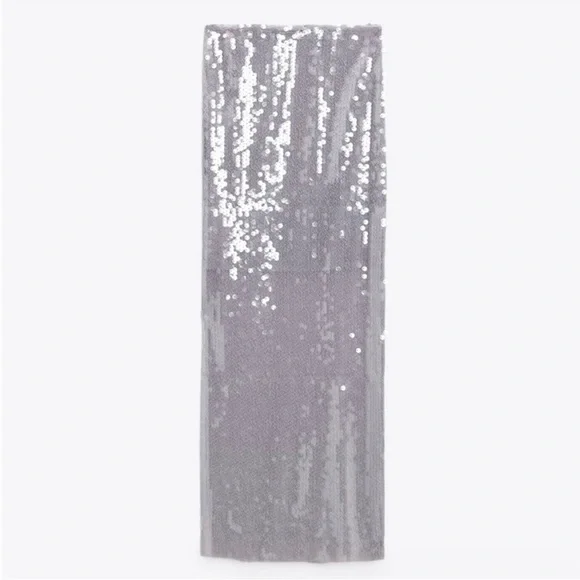 Zara Sequin Skirt (Size Large) - Picture 1 of 5